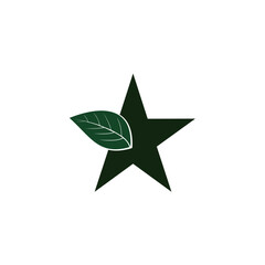 Obraz premium star leaf