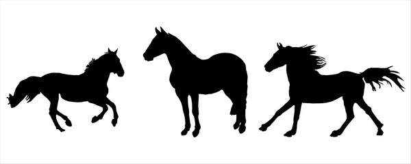 set of silhouette of horse