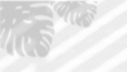 Monstera leaves shadow. Abstract background window light and shadow.