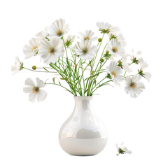 Closeup of an beautiful white flower in vase isolated on transparent background