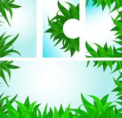 Set of universal nature backgrounds made of leaves with copy space.
