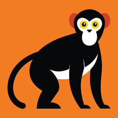 Solid color De Brazza’s Monkey animal vector design