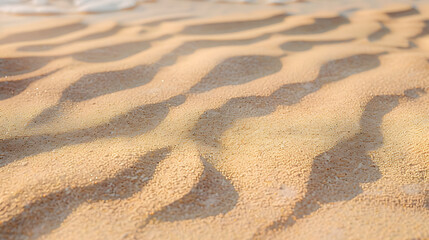 Fine beach sand in the summer sun