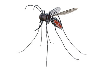 3D rendering of a clear background showing the front view of a stylized Aedes mosquito, preferably the Aedes aegypti type.