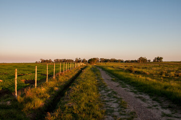 Obraz premium Dirt road in the countryside at dusk
