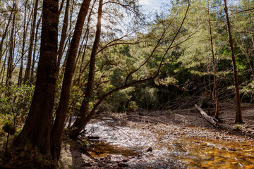 Kanangra-Boyd National Park, NSW