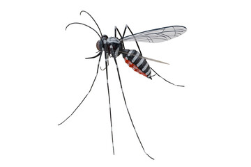 3D rendering of a clear background showing the back view of a stylized Aedes mosquito, preferably the Aedes aegypti type.
