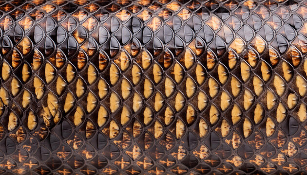 Seamless Python Skin Texture Pattern Background