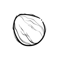 Coconut in Minimalist Style, Line Drawing