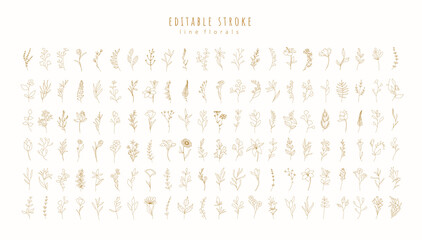 Set of different flowers and brunch from flat editable stroke. Luxury line floral collection for wedding invitation art, design template of save the date card. Botanical vector illustration, lined her