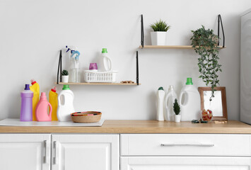 Wooden counter with bottles of detergent and houseplants in laundry room