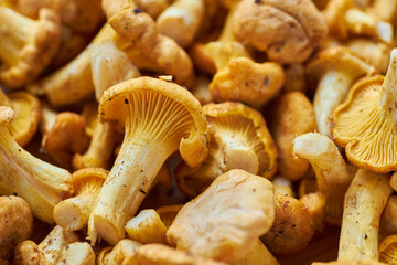 Chanterelles, Mushrooms, Food image chanterelle