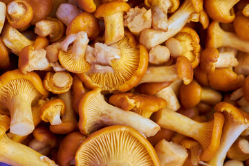 Time of summer mushrooms. Washed and peeled chanterelles