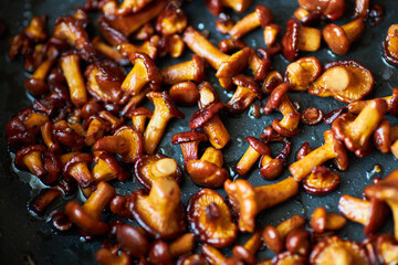 Fried golden chanterelles in a frying pan.