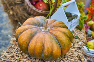 autumn style. Pumpkins, Chrysanthemums, decor. Material for photo zone