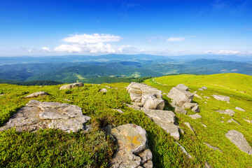 alpine landscape of ukrainian carpathians in summer. stones and boulders on the grassy meadow. scenery on top of the mountain smooth of trancarpathia beneath a blue morning sky with fluffy clouds