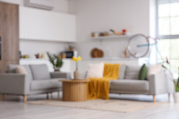 Interior of stylish living room with grey sofas, coffee table and bicycle, blurred view