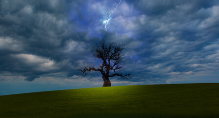 Obraz premium Lightning strike beetwen dark clouds over dead tree with green grass field - Stormy sky with thunderbolt over rural landscape