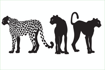 Obraz premium African Cheetah Animal Silhouette. Set of vector graphic cheetahs. Spotted wild cats for your design. Cheetah vector. 