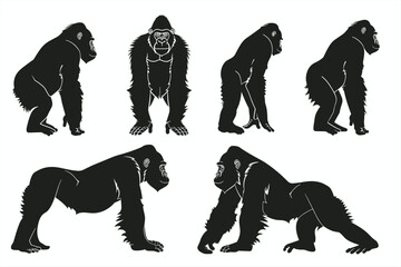 Set of vector black silhouette of Gorilla standing isolate white background. Set gorilla logo. Set gorilla logo. Chimpanzee black silhouette icon isolated. Vector illustration.