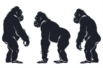Fototapeta premium Set of vector black silhouette of Gorilla standing isolate white background. Set gorilla logo. Set gorilla logo. Chimpanzee black silhouette icon isolated. Vector illustration.