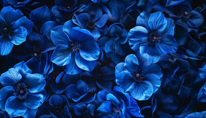 Royal Blue Floral Bliss: A Stunningly Dark and Vivid Texture Background