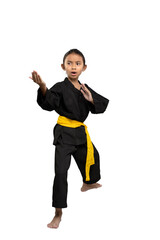 Young martial artist in karate pose