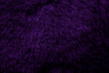 purple velour plush cloth textured background