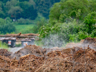 Rauchender Misthaufen