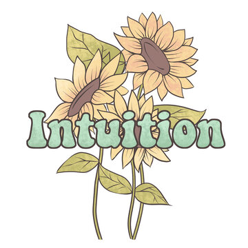 vector illustration of a sunflower