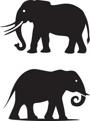 elephant illustration