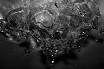 The black crown of water droplets splashing.