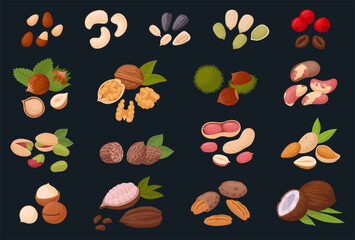 Nuts on dark background. Cartoon organic raw walnuts, almonds, pistachios and hazelnut, tasty snacks for vegetarian diet flat vector illustration set. Nuts collection