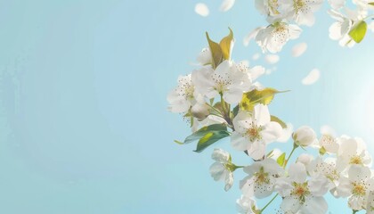 Fototapeta premium Blooming White Blossoms Under a Blue Sky: A Celebration of Passover, Easter, Women's Day, and World
