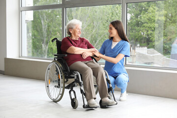 Senior woman in wheelchair with nurse indoors