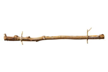 Wooden stick isolated on transparent background