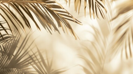 Obraz premium Palm Leaf Shadows on a Sunny Day