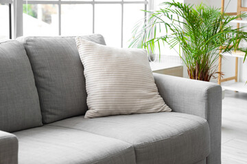 Cozy grey sofa with cushions in interior of light living room