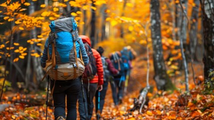 Naklejka premium a group of hikers with backpacks hiking in autumn forest, rear view