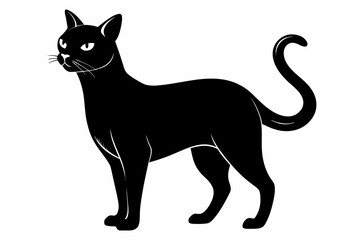  beautiful illustration vintage cat in sleek black