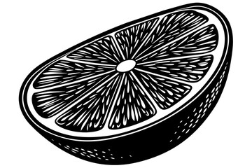 lime slice vector illustration