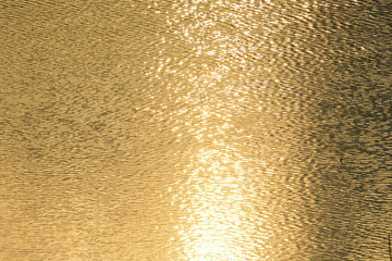 夕日に照らされた田植え前の水田