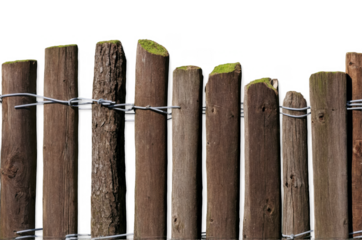 A row of old wooden stakes with moss and barbed wire on a transparent, white background, png