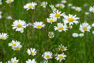 Sommer in der Region Teutoburger Wald