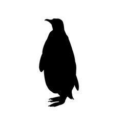 penguin silhouette - vector illustration