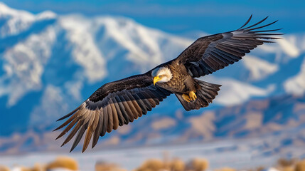 Majestic Eagle in Flight, Generative Ai