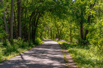 The Fox River Trail Near De Pere, Wisconsin, In Spring