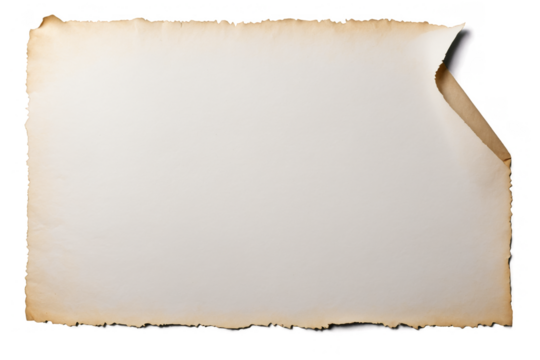 A vintage empty sheet of paper with curled edges, ideal for designs that need a transparent png on a white background