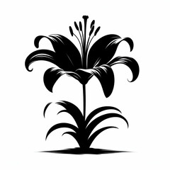 black silhouette of a lily with a stem on a white background