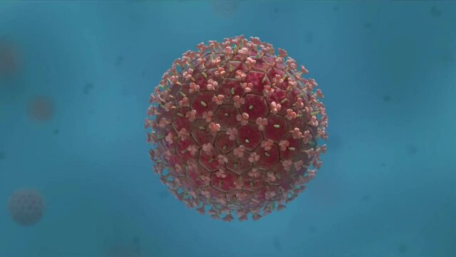 HIV Virus